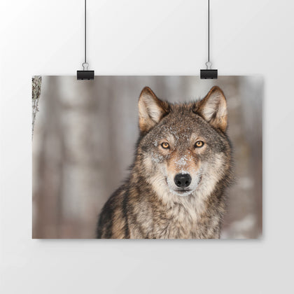décoration loup