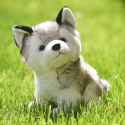 peluches loup