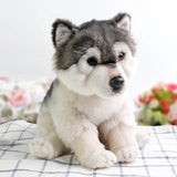 loup peluche