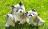 Peluche Loup<br> Bébé
