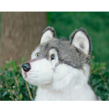 loup peluche