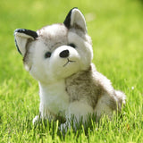 Peluche Loup<br> Bébé