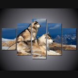 Tableau Loup<br> Paisible - Loup-Faction